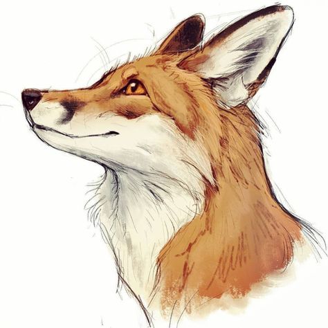 Fox Head Drawing, Head Drawing, Fox Drawing, Fox Head, Drawing Ideas, Animal Art, Fox, Sketch, Art