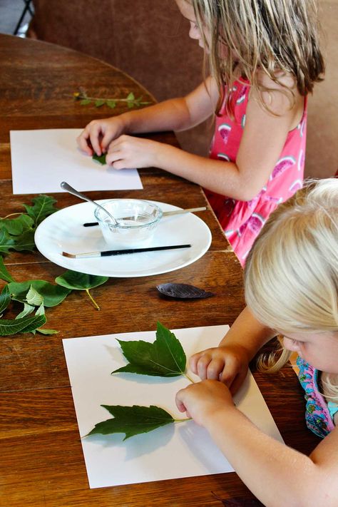 The weather is getting cooler and leaves are starting to change. Perfect time for a nature walk to collect leaves and Make a Kid’s Fall Leaf Collage! #WelcometoNanas #Autumn #Leaves #Collage #NatureCraft Fall Leaf Collage, Leaves Collage, Leaf Collage, Tree Study, Fall Art Projects, Art Medium, Nature Walk, Fall Leaf, Pumpkin Crafts