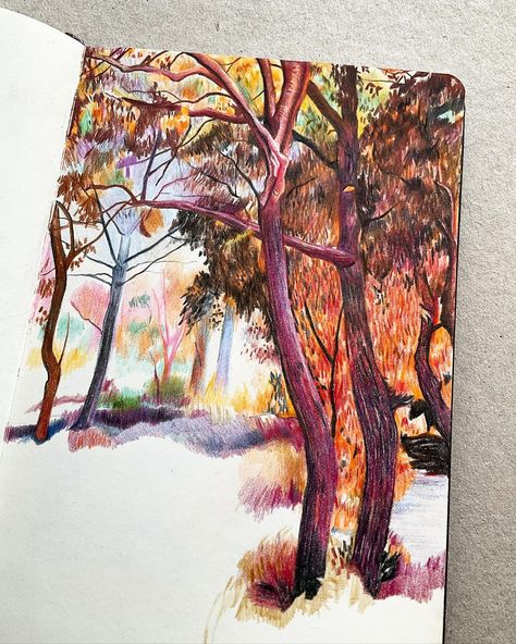 Julie Avisar | I may leave it here. • • • #trees #place #light #colouredpencils #fabercastell #fabercastellpolychromos #landscape #landscapedrawing… | Instagram Pencil Landscape, Color Art Lessons, Watercolor Pencil Art, Buddhist Art Drawing, Color Pencil Illustration, Faber Castell Polychromos, Colored Pencil Artwork, Tree Sketches, Book Illustration Art