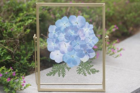 Hand Pressed Blue Hydrangea Pressed Flower Frame Flower - Etsy Hydrangea Pressed Flower, Pressed Hydrangea Art, Pressed Hydrangea, Hydrangeas Art, Pressed Flower Crafts, Pressed Flower Art, Hydrangea Flower, Dried Flower Arrangements, Blue Hydrangea