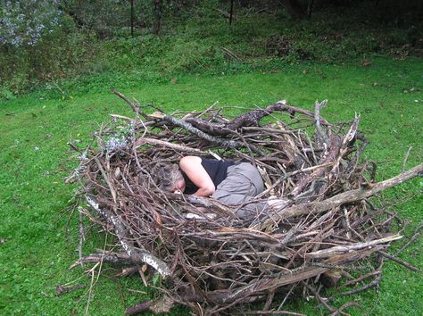 Bird Nest Craft, Tiny Creatures, Wire Knitting, Play Garden, Willow Weaving, Natural Playground, Forest School, Pretty Decor, Garden Landscape Design