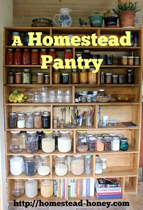 A custom built homestead pantry for our tiny house | Homestead Honey: Canned Good Storage, Homestead Pantry, Homestead Kitchen, Custom Pantry, Homesteading Diy, Root Cellar, Homestead Gardens, Homesteading Skills, Homestead Living