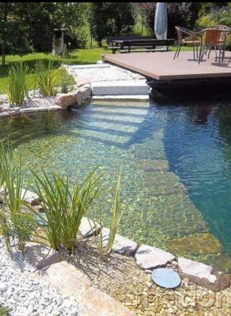 Garden Pool Design, Swimming Pool Pond, Natural Swimming Ponds, Garden Pond Design, Swimming Pond, Natural Pond, Natural Swimming Pools, Natural Swimming Pool, Pond Design