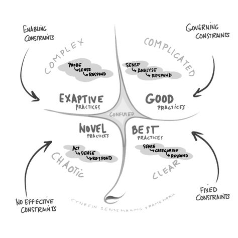 Welsh Words, Systems Theory, International Development, Complex Systems, Public Policy, Data Collection, Decision Making, Problem Solving, Leadership