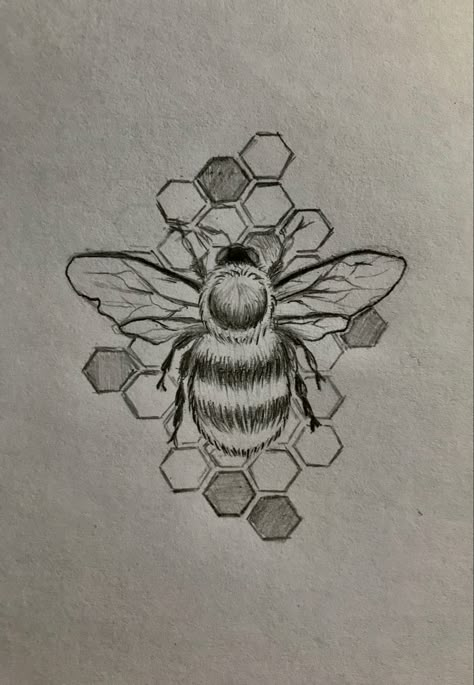 Realistic, cute Bumblebee Honeycomb Tattoo, Bee On Honeycomb Tattoo, Honeycomb Bee Tattoo Design, Bumble Bee With Honeycomb Tattoo, Honey Comb Bee Tattoo Design, Honey Comb And Bees Tattoo, Bumblebee Tattoo Ideas, Bumble Bee Drawings, Bumble Bee And Honeycomb Tattoo