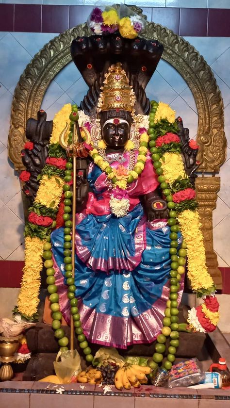 Om Shakthi Photos, Maha Lakshmi, Lord Durga, Durga Mata, God Pics, Shirdi Sai Baba Wallpapers, Nature Photography Flowers, Lord Murugan Wallpapers