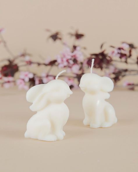 How cute are these Easter candles? We are still taken up order make sure to order on time 🌷 Candlemaking candlelover Easter candles rabbit eggs flowers handmade soy/beeswax natural organic nontoxic #Feelthelight#candlemaking#ａｅｓｔｈｅｔｉｃ#nontoxic#cleanburning#soywax#beeswax#natural#handcrafted#handmadewithlove#brand#eastercollection#candlelover#gifts#homedecor#candlebusiness#smallbusiness#womenownedbusiness#shoplocal Candlemaking Aesthetic, Eggs Flowers, Easter Candles, Flowers Handmade, Shop Local, Natural Organic, On Time, Easter, Candles