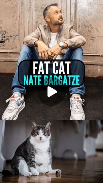 Richie(I’m just some guy) on Instagram: "Fat cat..😅🤍😹..  • • Comedian: Nate Bargatze @natebargatze ..🎙️ #cat  • • • • #standupcomedy #comedy #instagram #catlife #pets #natebargatze #funny #comedyclub #jokes #funnyreels" Nate Bargatze Comedy, Stand Up Comedy Videos, Nate Bargatze, Comedian Videos, Funny Sketches, Cat Jokes, Comedy Club, Fat Cat, Stand Up Comedians