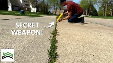 Repair Concrete Driveway, Sidewalk Cracks, Concrete Repair Products, Driveway Repair, Asphalt Driveway, Concrete Diy Projects, Invasive Plants, Concrete Driveways, Lawn Maintenance