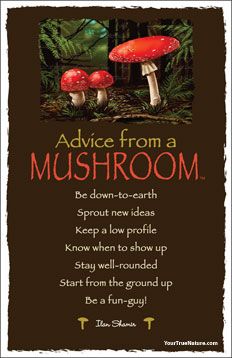 Advice from a Mushroom Advice From, Advice From A, Quotes About Mushrooms, Spiritual Meaning Of Mushrooms, Mushroom Sayings, Advice From A Fish, Magic Mushroom Quotes, Advice From A Tree Quote, Mushroom Wallpaper