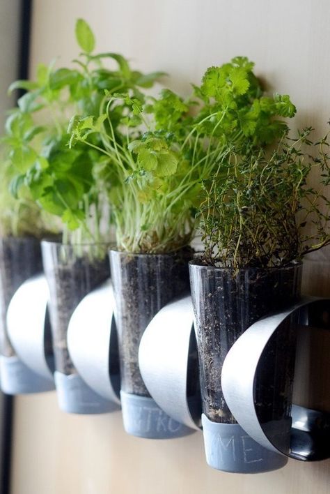 Hang a Vurm rack vertically and it’s perfect for wine, but flip it horizontally and it becomes an excellent wall planter. Ikea Wine Rack, Herb Diy, Herb Plants, Hanging Herb Garden, Diy Herb Garden, Kitchen Herbs, Meteor Garden 2018, Herb Planters, Diy Ikea Hacks