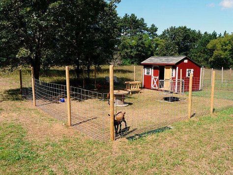 Goat enclosure Goat Playground, Goat Shed, Goat Pen, Goat Shelter, Small Goat, Pet Goat, Goat House, Goat Care, Goat Barn