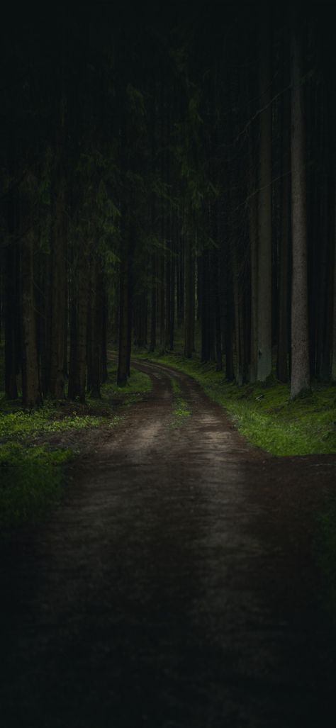 Moody Nature, Black Forest Germany, Environment Reference, Empty Road, Rainy Day Aesthetic, Western Artwork, Beautiful Flower Drawings, Cloudy Weather, Free Nature