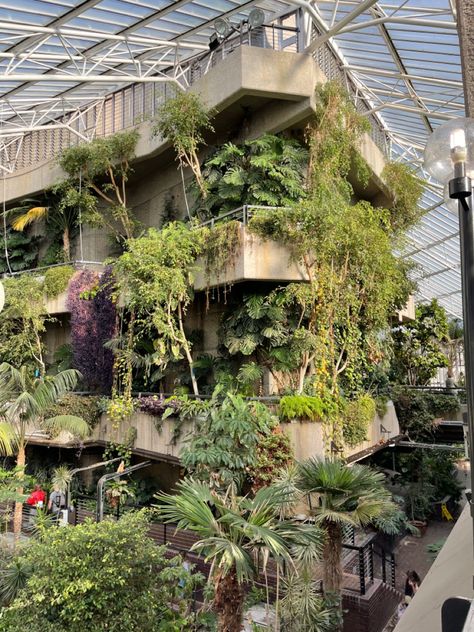 Barbican Conservatory, What To Do In London, House Of Dreams, Plant House, On A Rainy Day, London Hotels, Tate Modern, Visit London, Natural Garden