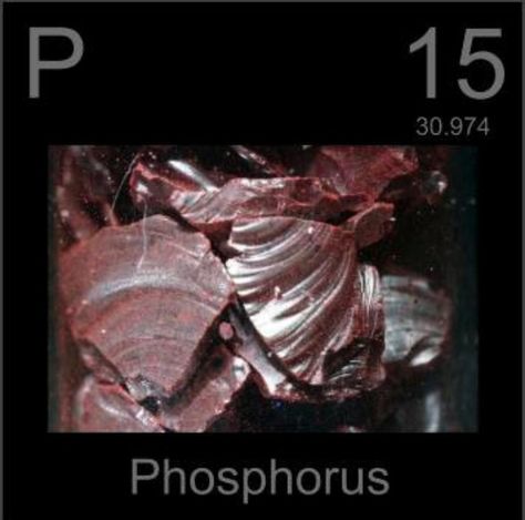 The three most common forms of phosphorus rock are red, white, or black Phosphorus Element, Calcium Benefits, Periodic Elements, Chemistry Education, Periodic Table Of The Elements, Science Facts, Homeopathy, Rocks And Minerals, Workout Food