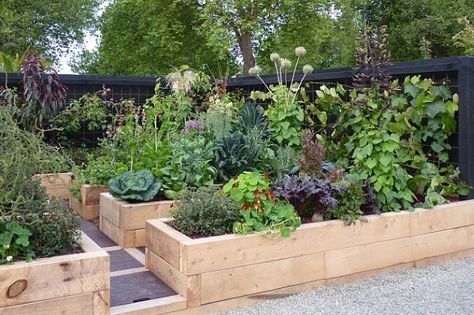 Vege Garden Design, Garden Ideas Nz, Vege Garden Ideas, Hedge Garden, Vege Garden, Small Vegetable Gardens, Garden On A Hill, Garden Harvest, Home Vegetable Garden