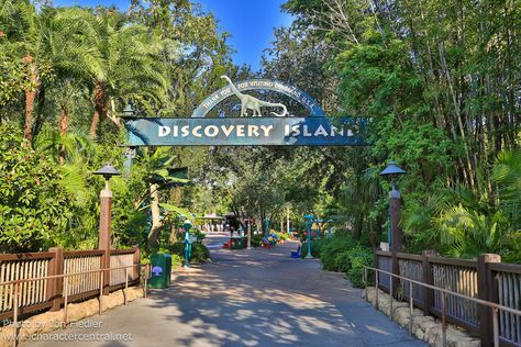 Final Day at Disney's Discovery Island Abandoned Malls, Discovery Island, Go Camping, Tropical Paradise, Abandoned Places, Walt Disney World, Animal Kingdom, Theme Park, First World