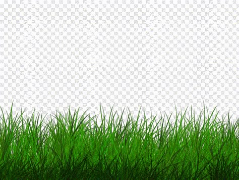 Picsart Png Background, Rumput Png, Palm Tree Clip Art, Grass Png, Tree Photoshop, Psd Free Photoshop, Editing Picsart, Picsart Png, Picture Editing