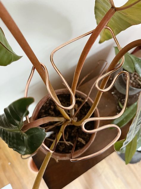 Mini Monstera Copper Trellis Indoor Plant Stake Houseplant Support - Etsy Canada Copper Trellis, Houseplant Trellis, Indoor Plant Trellis, Mini Monstera, Trellis Indoor, Plant Display Ideas, Potted Plants Outdoor, Copper Diy, Trellis Plants