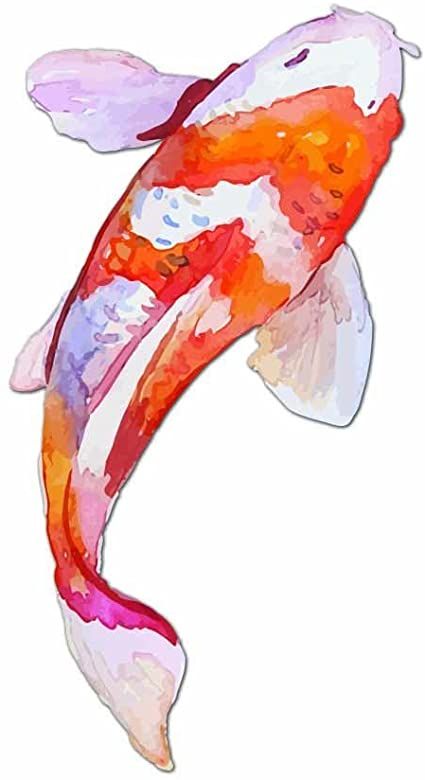 Watercolor Koi Fish, Koi Painting, Koi Fish Drawing, Japanese Koi Fish, Koi Watercolor, Koi Art, Japanese Watercolor, Carpe Koi, Fotografi Vintage