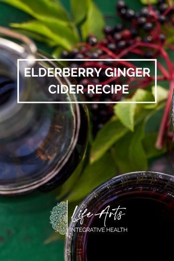 Elderberry Ginger Cider Recipe Elderberry Liquor, Elderberry Shrub, Elderberry Benefits, Fire Cider Recipe, Shrub Recipe, Nutritionist Dietitian, Elderberry Recipes, Fire Cider, Cider Recipe