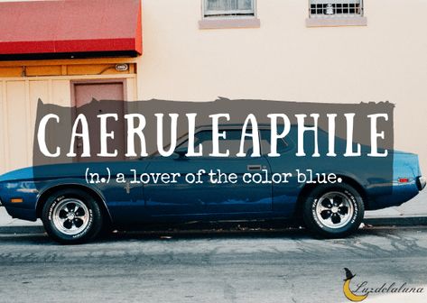 50 Types of Philes and What They Love | Luzdelaluna Random Expressions, Bookworm Quotes, Bored Jar, Words To Describe Someone, Ancient Greek Words, Unique Words Definitions, Word Board, Chemistry Lessons, Words That Describe Feelings