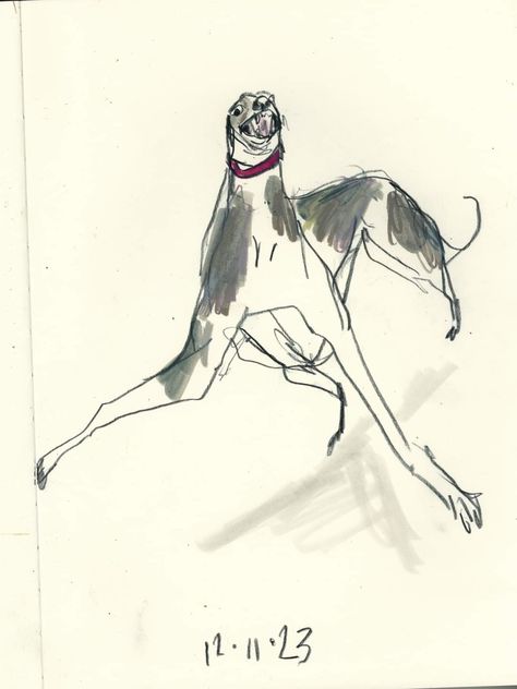 Made by Harriet Greyhound Drawing, Italian Greyhound, Greyhound, Profile Picture, Photo And Video, Instagram Photos, Instagram Photo, Drawings, Quick Saves