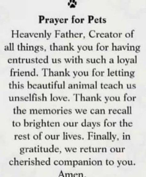 Dog Praying, Miracle Prayer, Jesus Prayer, Loyal Friends, Sweet Boy, A Gentleman, Prayer Scriptures, Catholic Prayers, Losing A Pet