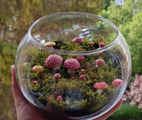 Mushroom Fairy Terrarium, Fake Mushroom Terrarium, Fairycore Terrarium, Moss And Mushroom Terrarium, Terrarium With Mushrooms, Small Moss Terrarium, Mushroom Terrarium Diy, Polymer Clay Terrarium, Fungi Terrarium