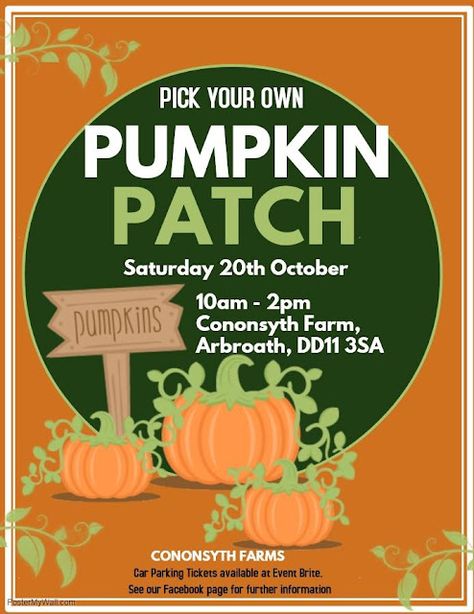 Scottish Pumpkin Patches 2018 | Foodie Quine - Edible Scottish Adventures Pumpkin Patch Flyer, Story Book Pumpkin, Pumpkins For Sale, Invert Colors, Classic Names, Pumpkin Patches, Promotional Flyers, Homemade Costumes, Win Win Situation