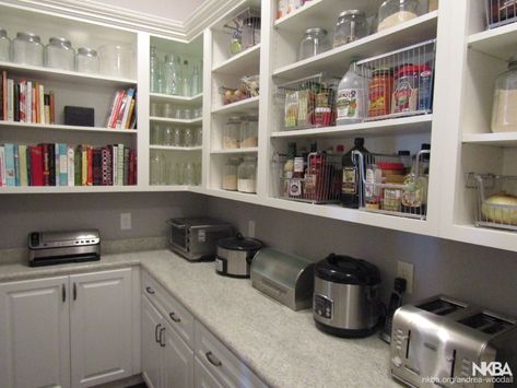 Walk-in Pantry - NKBA Smart Pantry Ideas, Walkin Pantry Ideas, House Pantry, Perfect Pantry, Pantry Remodel, Pantry Closet, Kitchen Pantry Design, Kitchen Must Haves, Pantry Shelf