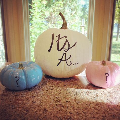 Fun idea for a fall gender reveal party!  #GenderReveal #GenderRevealParty #GenderRevealIdeas Fall Baby Reveal Ideas, Gender Reveal Pumpkin Theme, Pumpkin Themed Gender Reveal Party, Halloween Themed Gender Reveal Party, Pumpkin Gender Reveal Party, Fall Gender Reveal Ideas, Halloween Gender Reveal Party, Fall Gender Reveal Party, Gender Reveal Ideas For Party