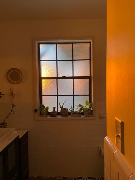 Shower With Window, Bathroom Window Ideas, Window Shadow, Window Drawing, Bathroom Window, My Bathroom, Bathroom Windows, Plant Aesthetic, Small Windows