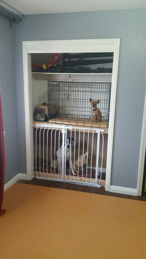 Closet Kennel Ideas, Dog Bed In Closet, Dog Kennel In Closet, Dog Kennel Closet, Dog Crate Closet, Closet Dog Crate, Closet Dog Kennel, Built In Dog Kennel, Dog Condo