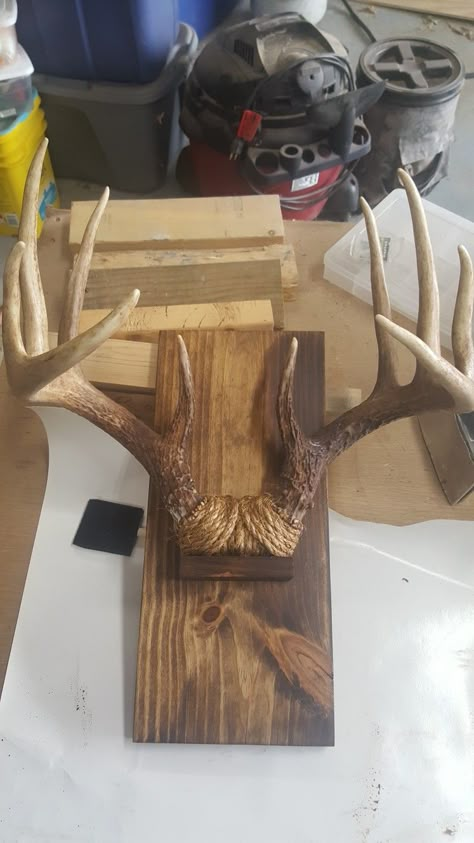 Deer Antler Mount Ideas Display, Antler Mounts Ideas, Deer Mount Display Ideas, Deer Horn Ideas Diy, Unique Deer Mount Ideas, Deer Antler Projects, Deer Horn Mount Ideas, Horn Mount Ideas, Deer Head Mount Ideas Display