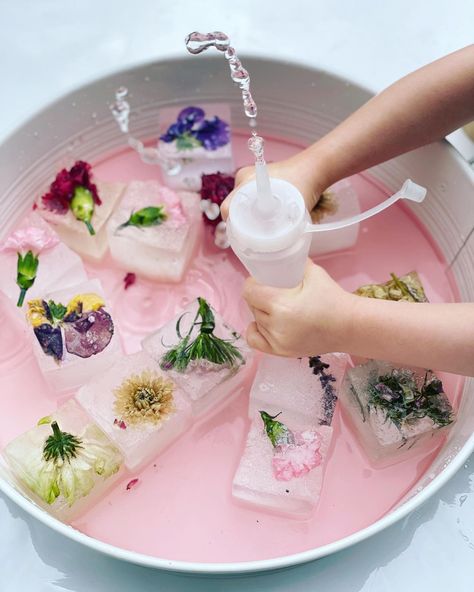 Frozen Flowers In Ice, Flower Frozen In Ice, Frozen Flowers Sensory Ice Play, Sensory Bin Play, Hearts Paper Crafts, Early Childhood Education Activities, Sensory Tubs, Childcare Activities, Nature School