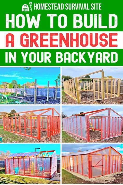 How to Build a Greenhouse in Your Backyard How To Build Your Own Greenhouse, Homestead Rescue Greenhouse, Free Greenhouse Plans, Starting A Greenhouse, Homestead Rescue, Greenhouse Building, Homestead Style, Water Collection System, Aquaponics Diy