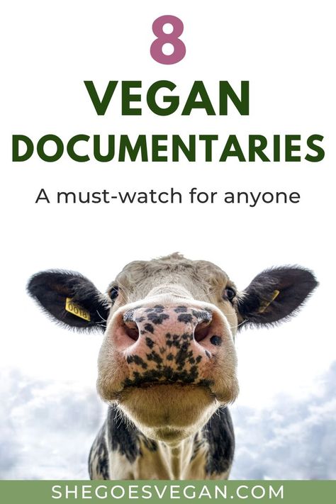 8 of the best vegan documentaries - a must watch for everyone (picture of a cow) Vegan Documentaries, Vegan For Beginners, Documentaries To Watch, Vegan Facts, Hobbies For Adults, Living Sustainably, Blog Quotes, Conscious Consumption, Simple Delicious Recipes