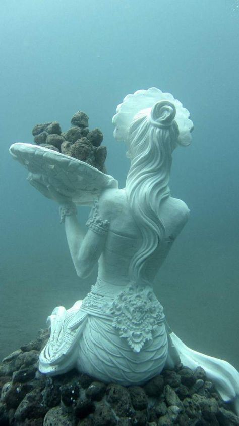 underwater Sculptures, Bali Underwater Statues, Underwater Sculpture, Traditional Sculptures, Conservation Art, Mermaid Statues, Sculpture Exhibition, Underwater Art, Sculpture Projects, Under The Water