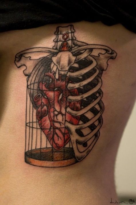 Birdcage Tattoo, Rad Tattoos, Cage Tattoos, Anatomical Heart Tattoo, Sticker Tattoo, Ribcage Tattoo, Geniale Tattoos, Human Canvas, Healthy Heart