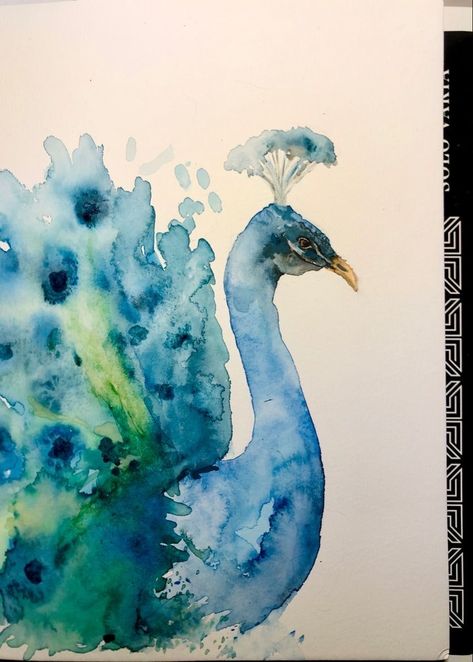 Watercolour Peacock, Watercolor Art Inspiration, Bird Watercolor Art, Abstract Watercolor Flower, Watercolor Peacock, Animal Art Projects, Chinese Art Painting, Bird Watercolor, Peacock Painting