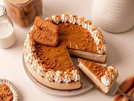 Vegan Biscoff Cheesecake - Vegan Recipe Fluffy Cheesecake, Cheesecake Vegan, Biscoff Cheesecake, Easy Peasy Recipes, Lotus Biscoff, Vegan Cream Cheese, Desserts Menu, Cookie Crumbs, Creamy Cheesecake