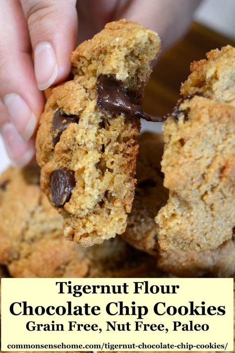 Tigernut Cookies, Tigernut Recipes, Nut Free Paleo, Aip Cookies, Tiger Nut, Tigernut Flour, Reflux Recipes, Paleo Chocolate Chip Cookies, Autoimmune Paleo Recipes