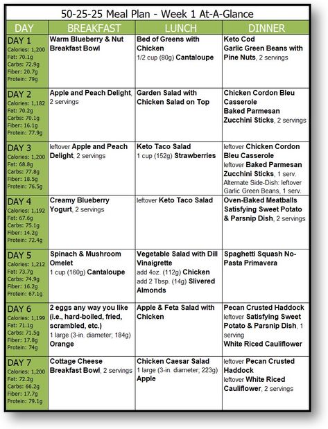 Dr Nowzaradan Diet Plan 1200 Meal Plan, 50/25/25 Meal Plan, Fat Adapted Meal Plan, Fit Girls Guide Meal Plan, Healthy Daily Meals, Sample Keto Meal Plan For Beginners, Beachbody Meal Plan 1500-1799, Low Carb Plan, 1200 Calories