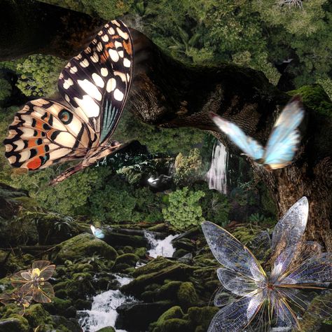 Fairycore Forest, Butterfly Core Aesthetic, Fairy Forest Aesthetic, Woodland Fairy Aesthetic, Grunge Fairy, Rainbow Butterflies, Super Cool Stuff, Magic Land, Enchanted Fairies