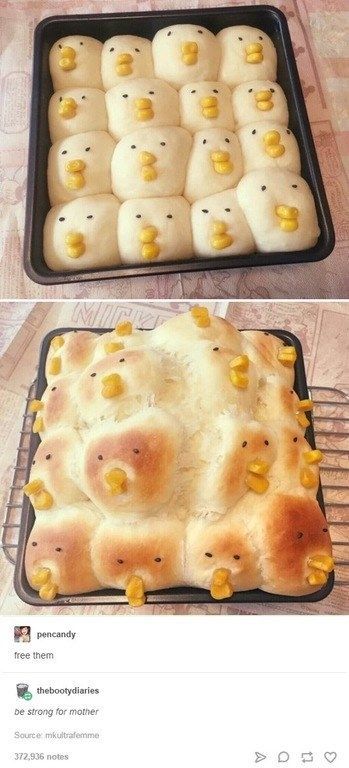 27 People Who Need To Stay Far, Far Away From Food Baking Fails, Cooking Fails, Pinterest Fail, Food Fails, 밈 유머, You Had One Job, Expectation Vs Reality, Kitchen Humor, 웃긴 사진