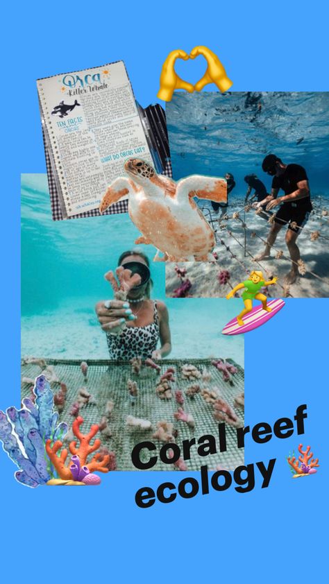 Coral reef ecology is the study of coral reef in oceans. The study is related to marine biology 🧬 Marine Biology, The Study, Coral Reef, Ecology, Biology, Coral