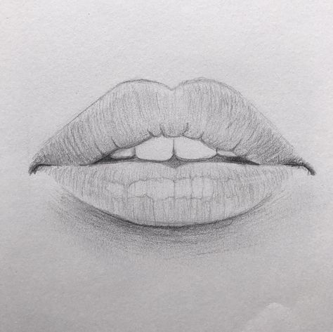 Lips Lip Sketch, Handmade Drawings, Drawing Grid, Lips Sketch, Face Art Drawing, Lip Drawing, Easy Love Drawings, Eagle Art, Lips Drawing