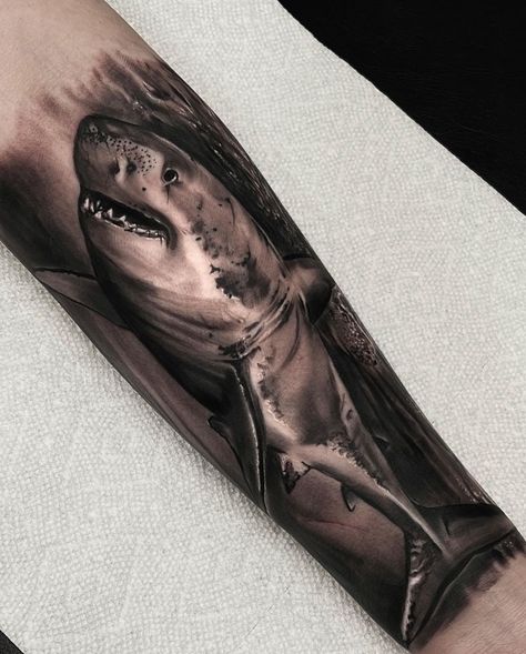 Shark Realism Tattoo, Sea Tattoo Sleeve, Shark Tattoo Ideas, Nautical Tattoo Sleeve, Shark Pictures, Sea Tattoo, Shark Tattoo, Nautical Tattoo, Shark Tattoos