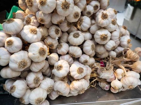 Health Benefits Of Garlic, Garlic Health, Benefits Of Garlic, Osteoporosis Prevention, Cloves Benefits, Garlic Supplements, Improve Kidney Function, Garlic Health Benefits, Reducing Blood Pressure